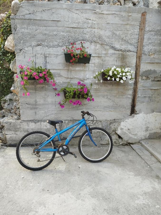 State Apartmants Kotor Exterior foto